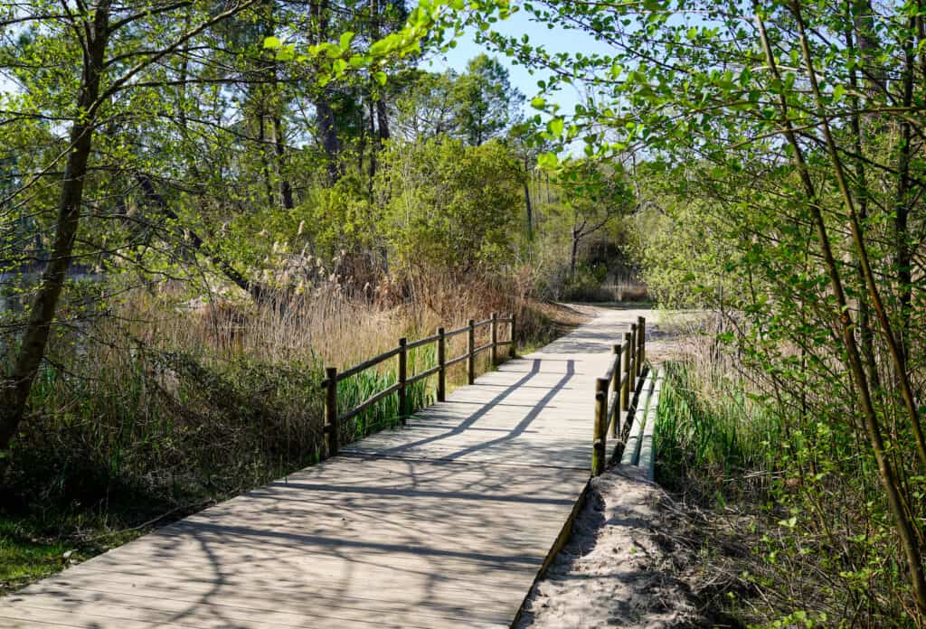 Sentier de trail en forêt, Hostens près de Bordeaux en Gironde. Idéal pour vos courses running.